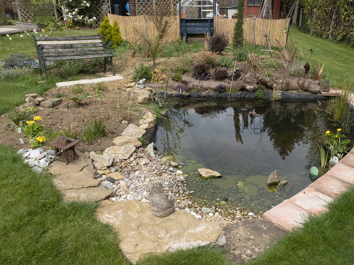 Ian and Viv's pond